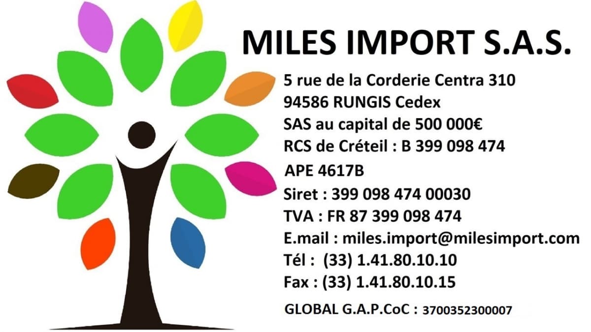 MILES IMPORT SAS