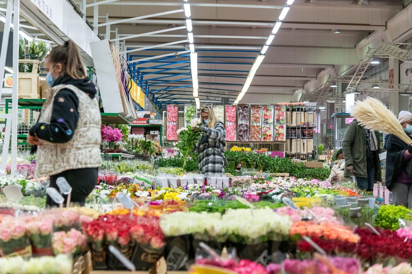 Intérieur d'un pavillon Horticulture avec des pots de fleurs exposés au Marché de Rungis