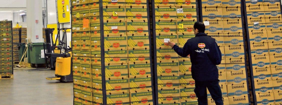 Responsable Logistique exerçant sa profession au Marché de Rungis